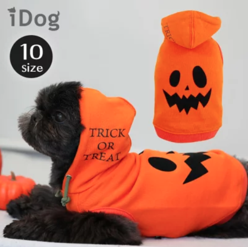 「愛犬とおうちでハロウィンを楽しもう!」ペットと一緒編集部