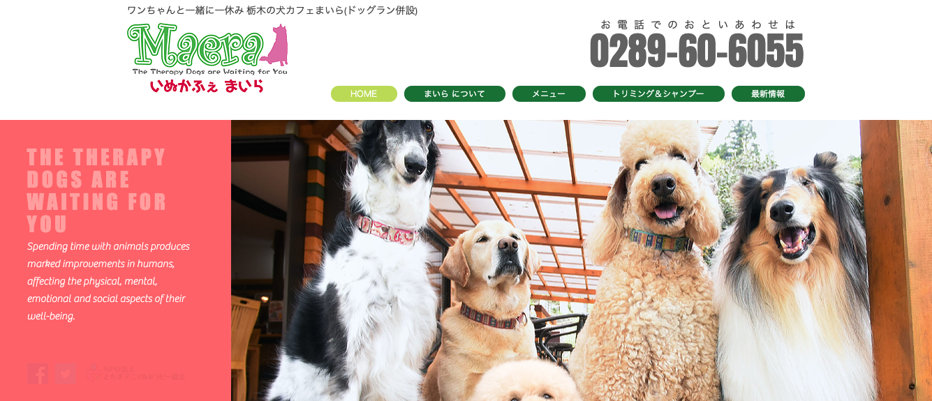 【茨城県・栃木県・群馬県】「犬用メニューもあるカフェまとめ」PartⅦ