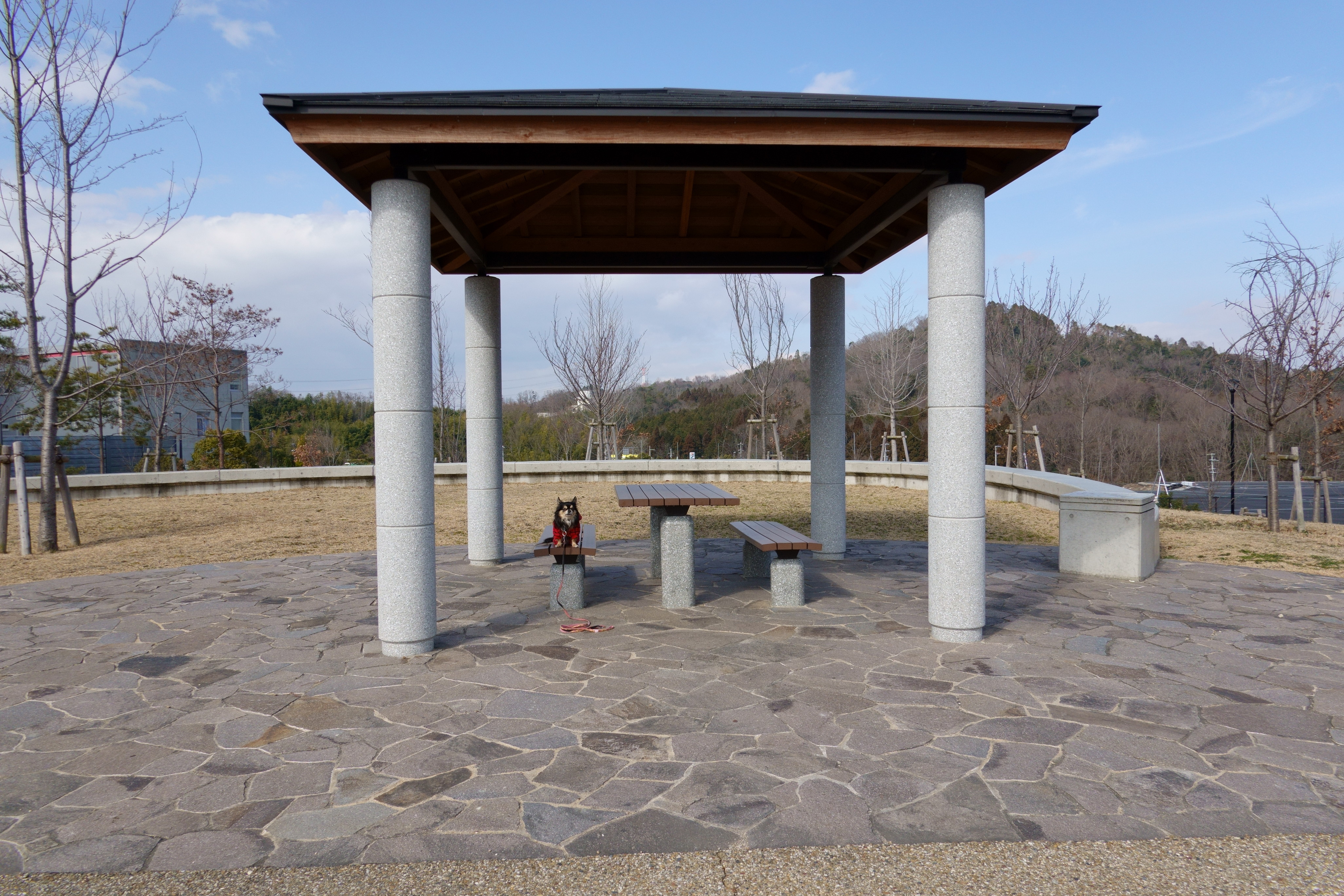 東部公園ドッグラン