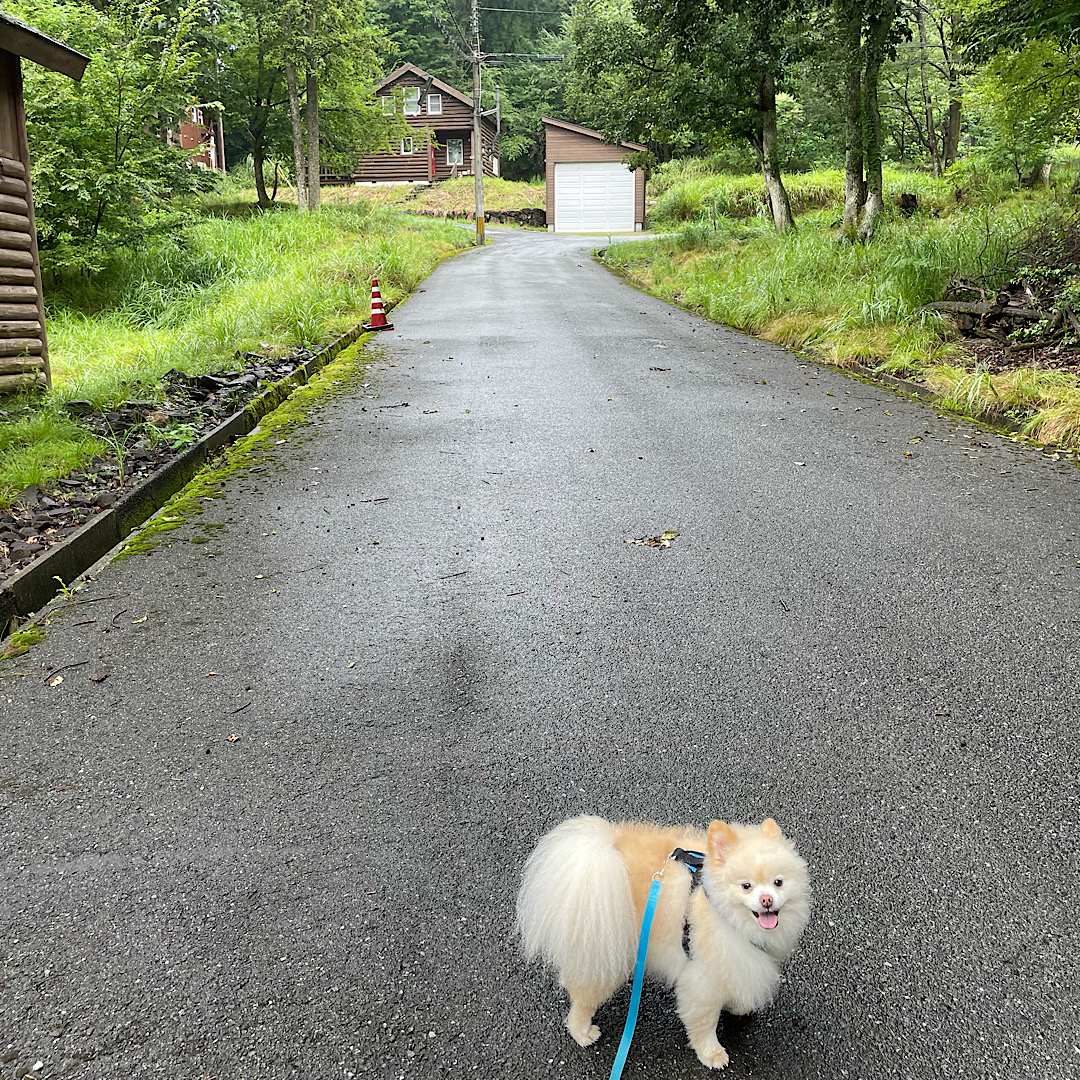 奥琵琶湖キャンプ場