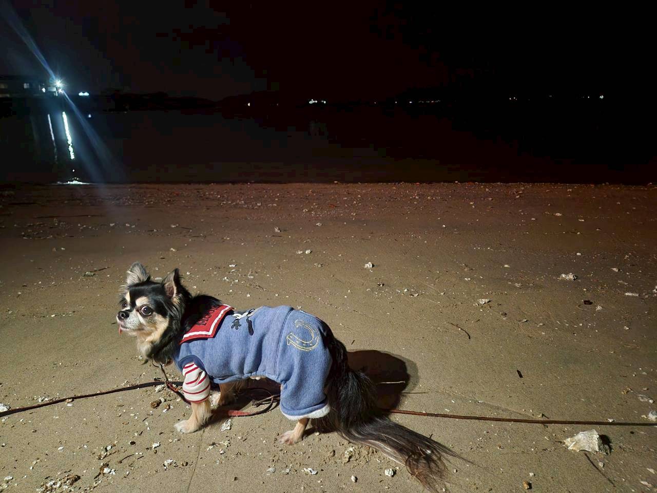 おもてなしホステル宮島