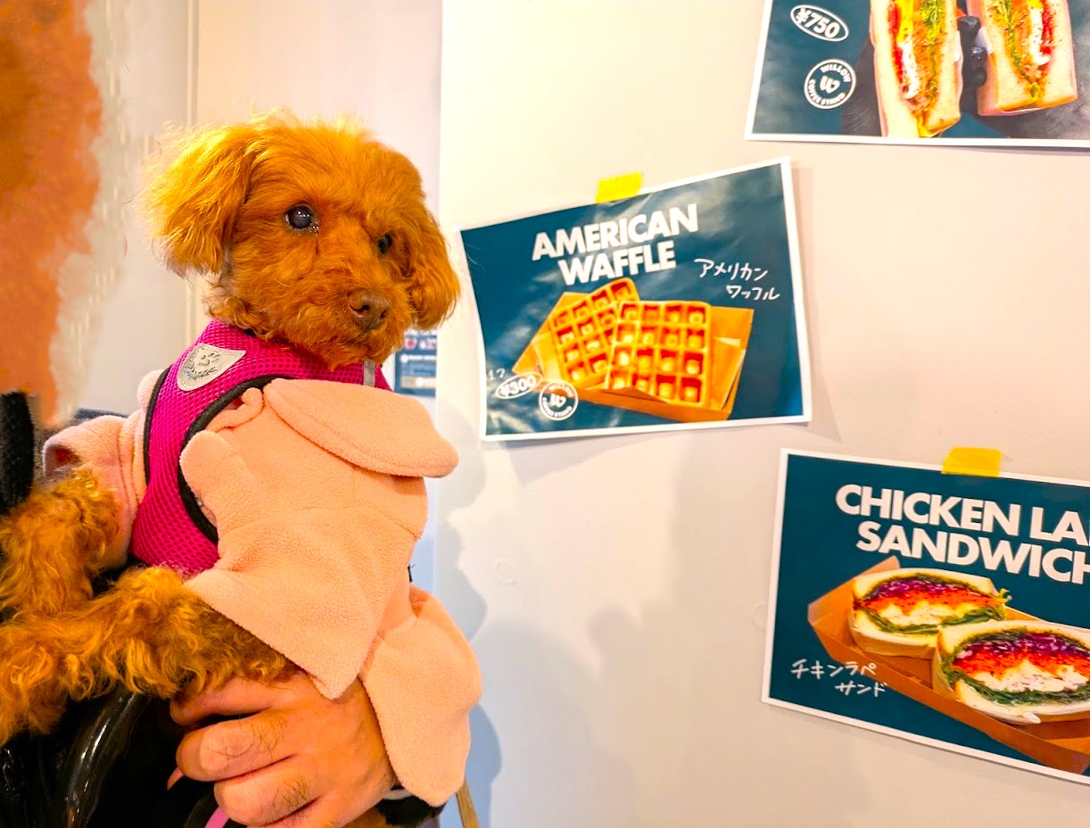 ウィローコーヒースタンド