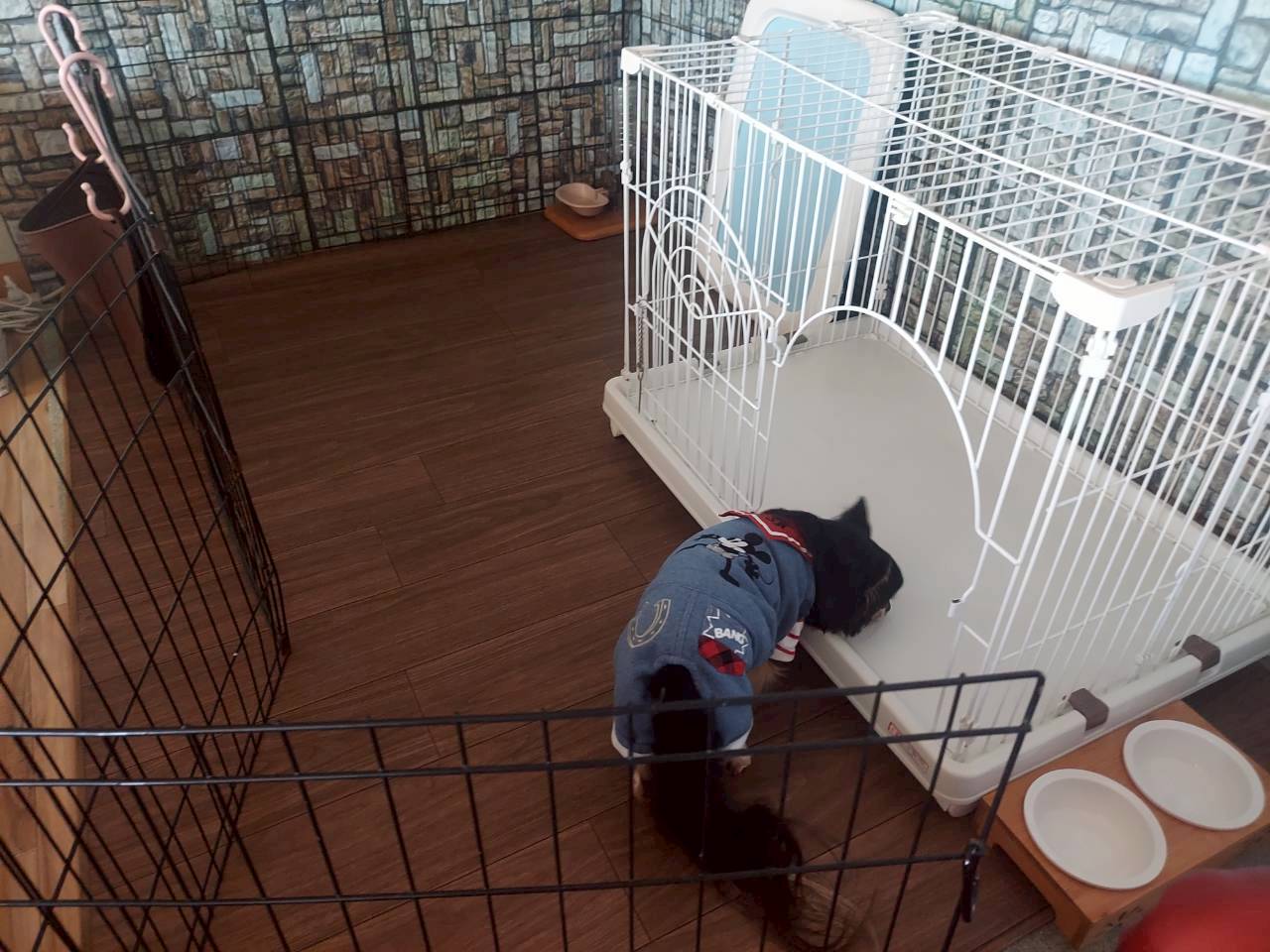 おもてなしホステル宮島