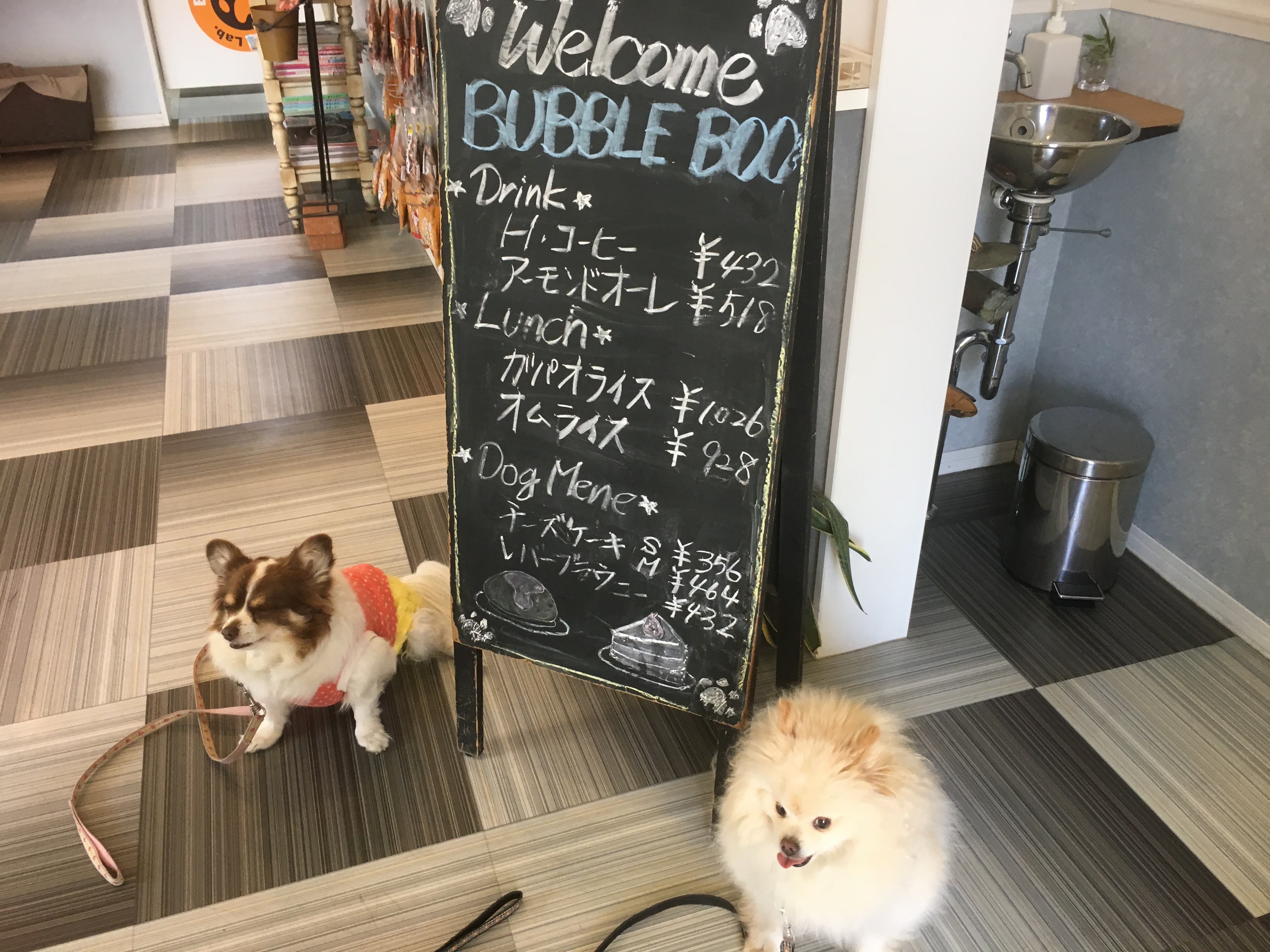 Dog.Lab.BUBBLE BOO（ドッツグラボバブルブー）