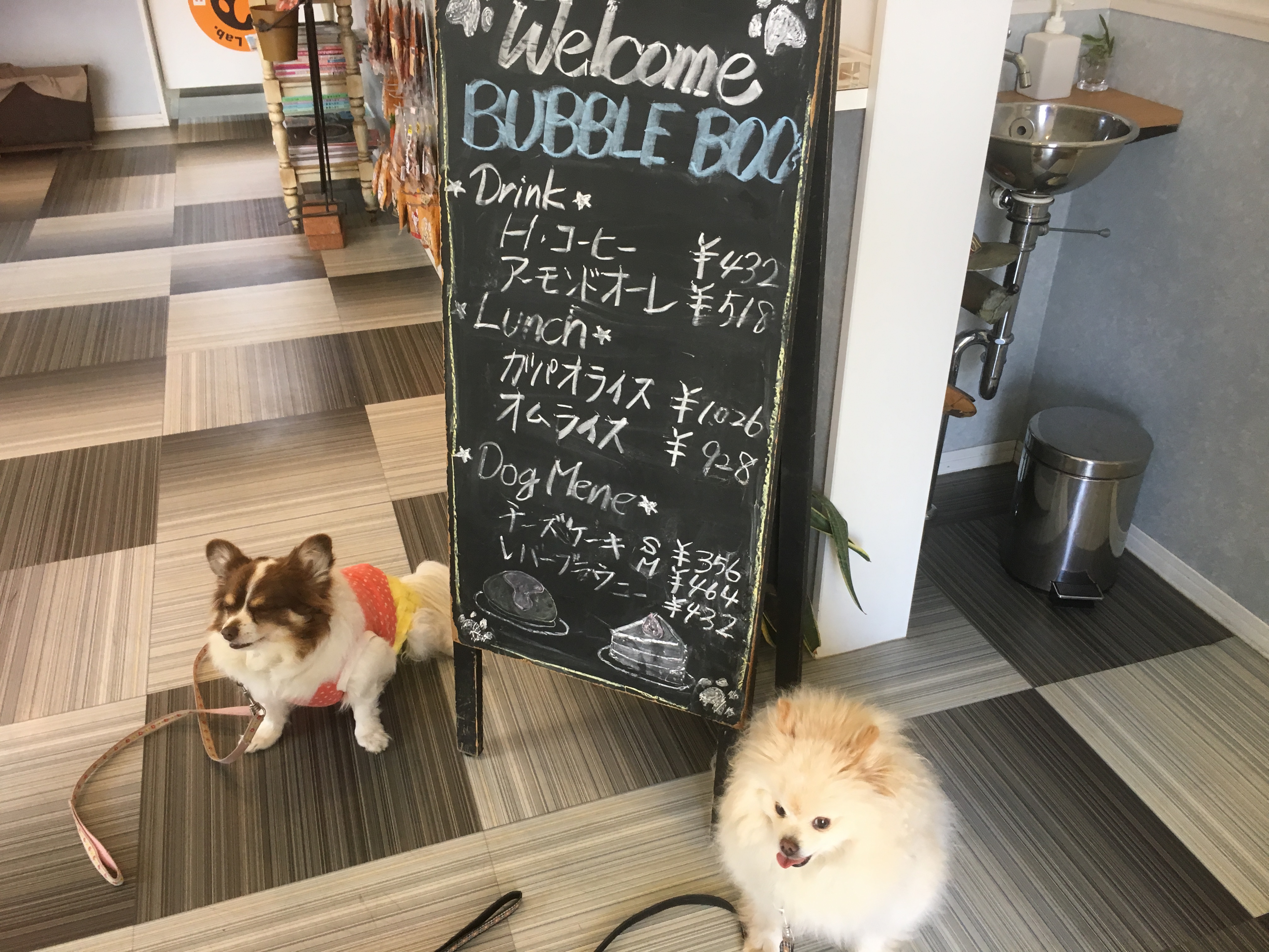 Dog.Lab.BUBBLE BOO(ドッツグラボバブルブー)