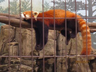 夢見ヶ崎動物公園