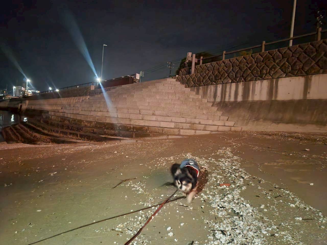 おもてなしホステル宮島
