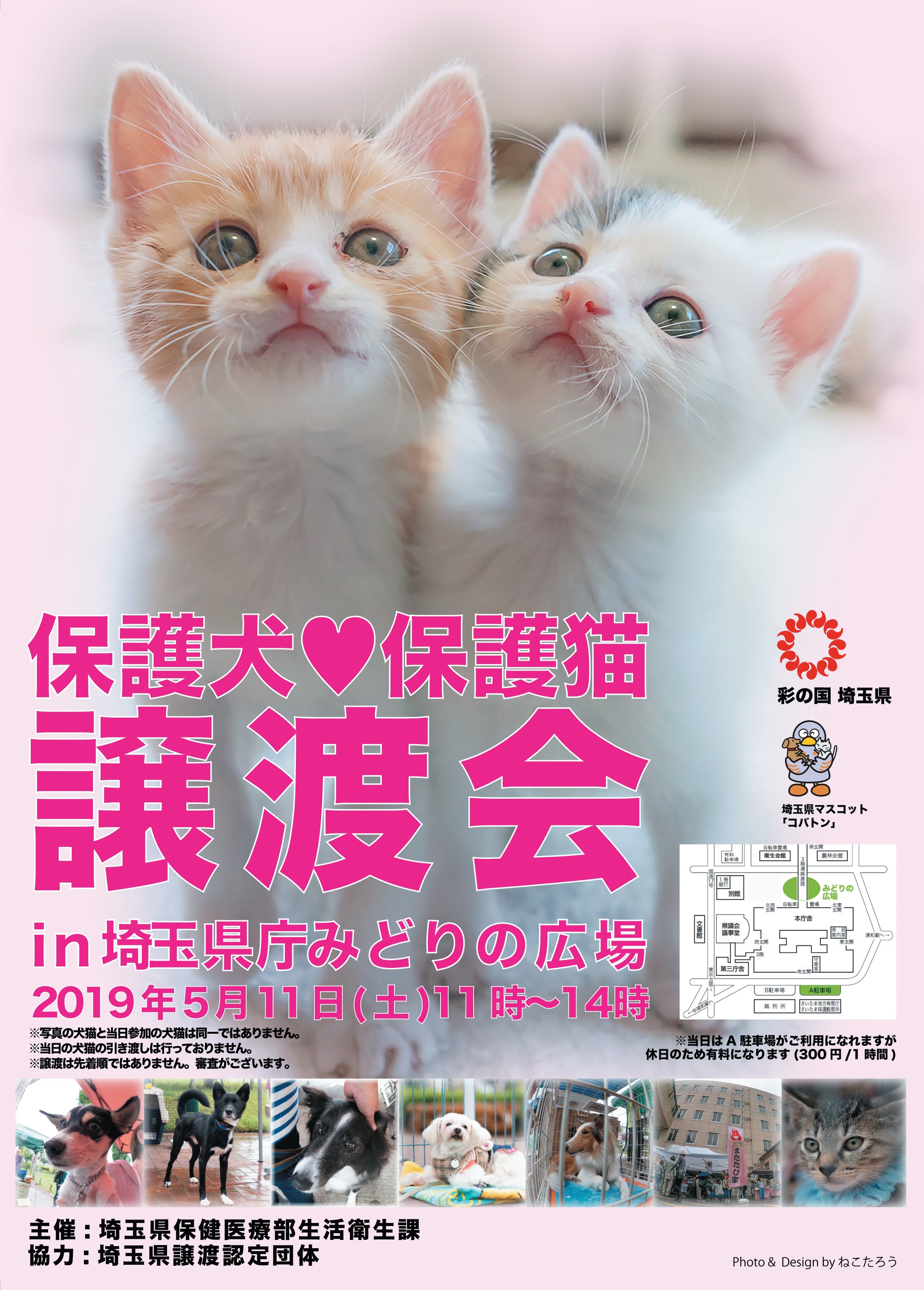 保護犬・保護猫譲渡会in埼玉県庁