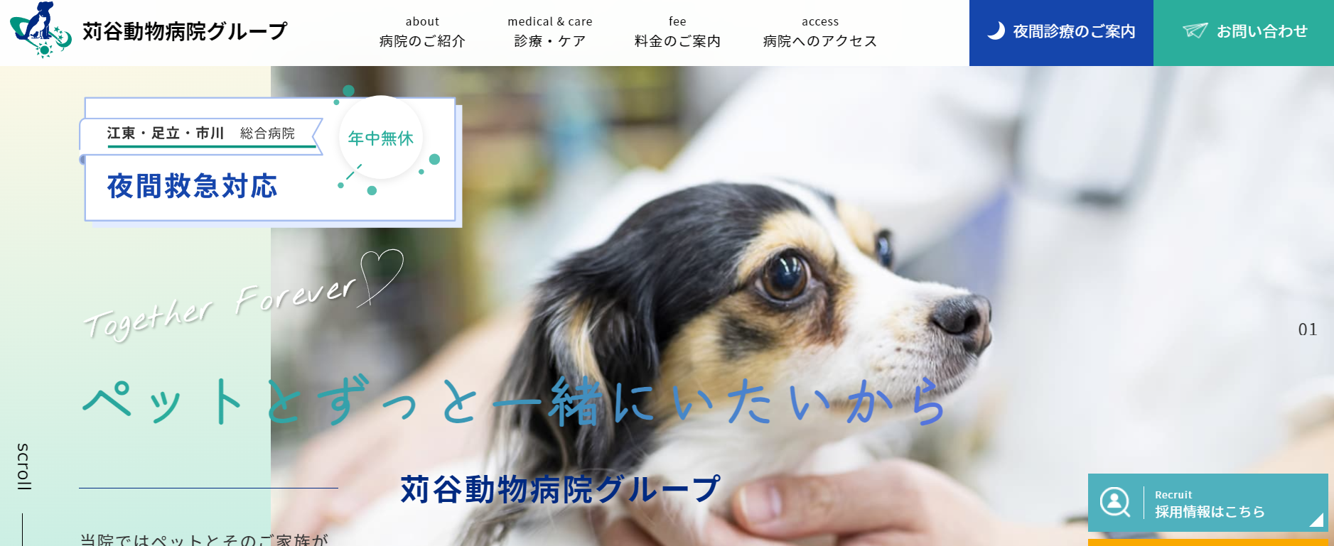 2024冬季 犬・猫シニアセミナー「シニア期の循環器について」