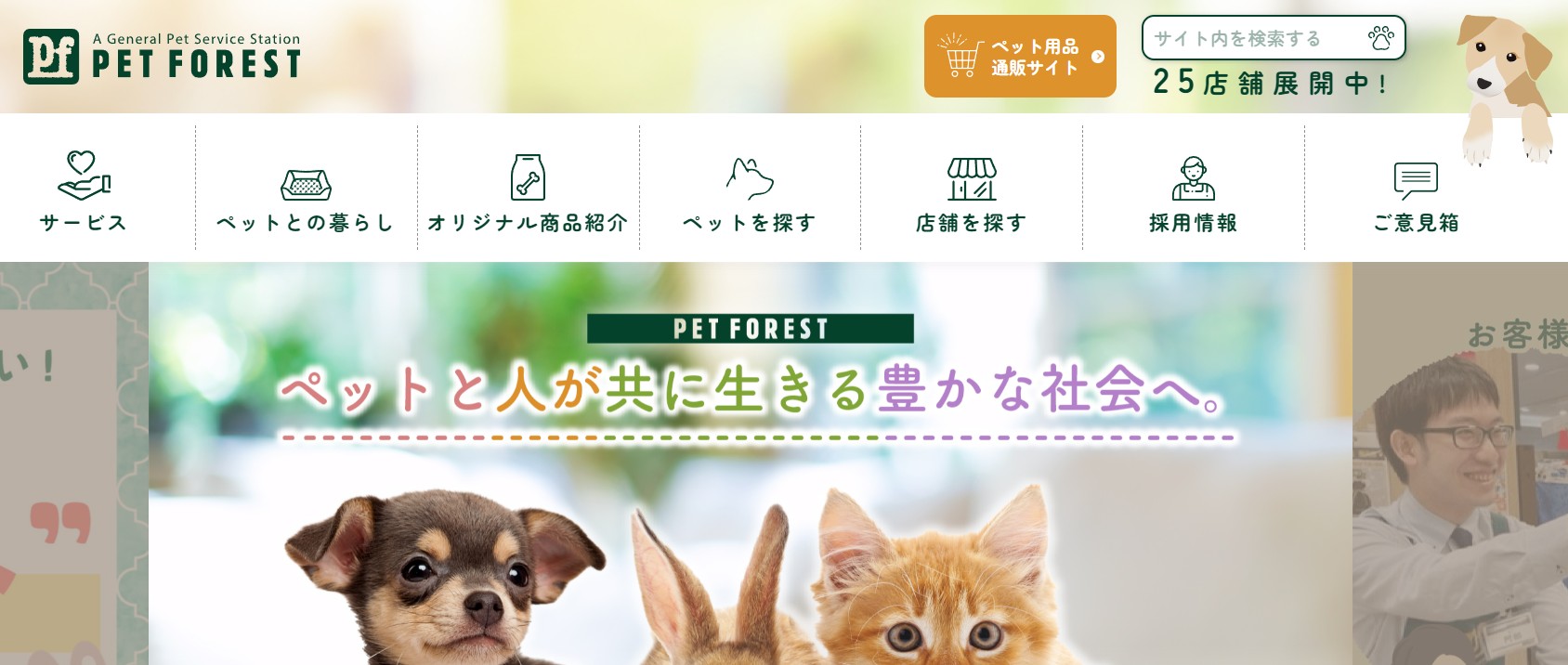 室内ミニアジリティー体験
