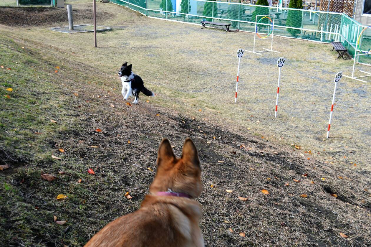 伊豆ぐらんぱる公園