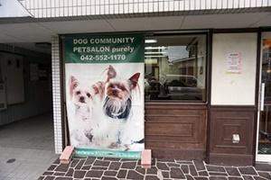 「DOG
