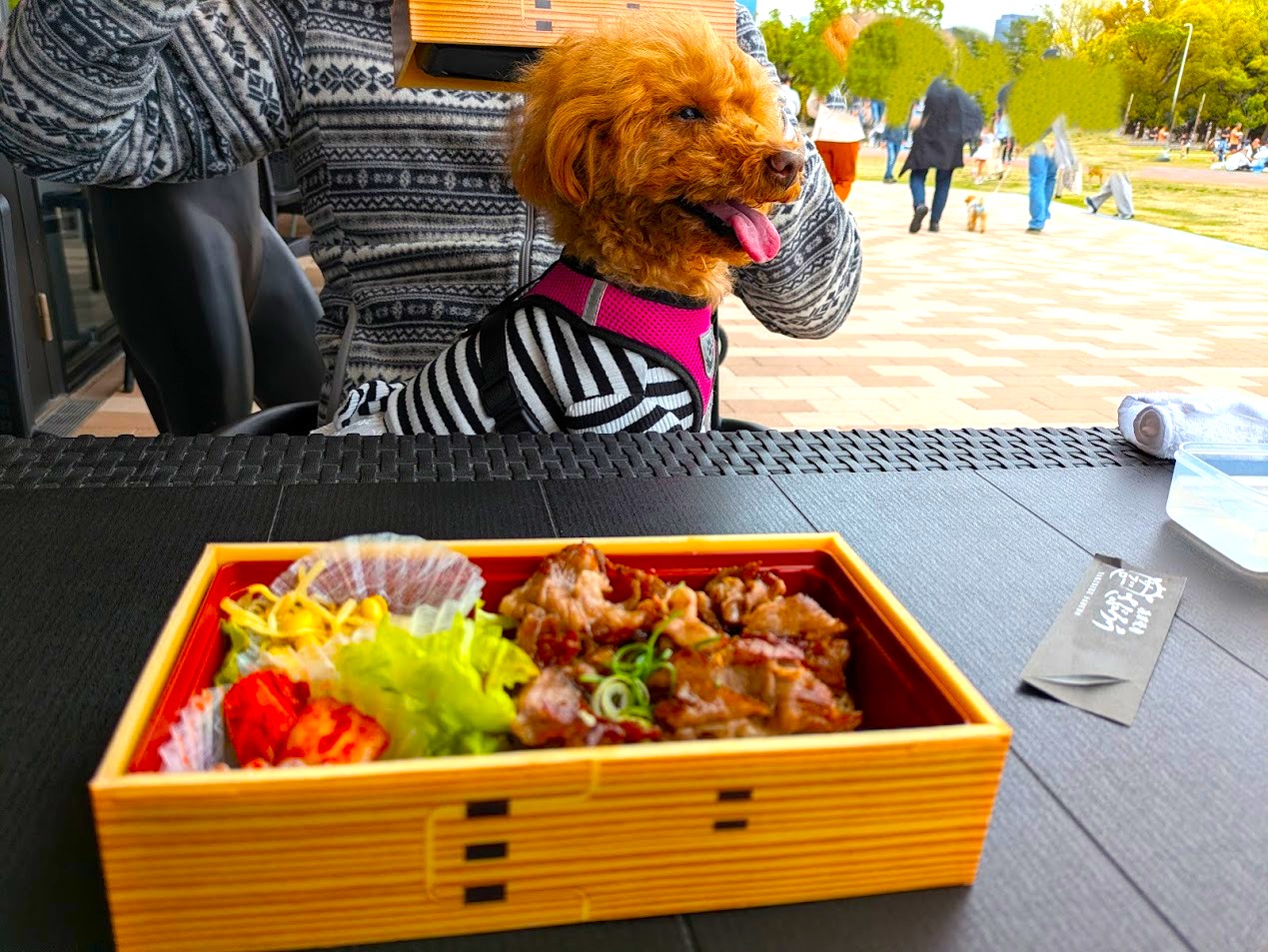 浪華焼肉さぶろう