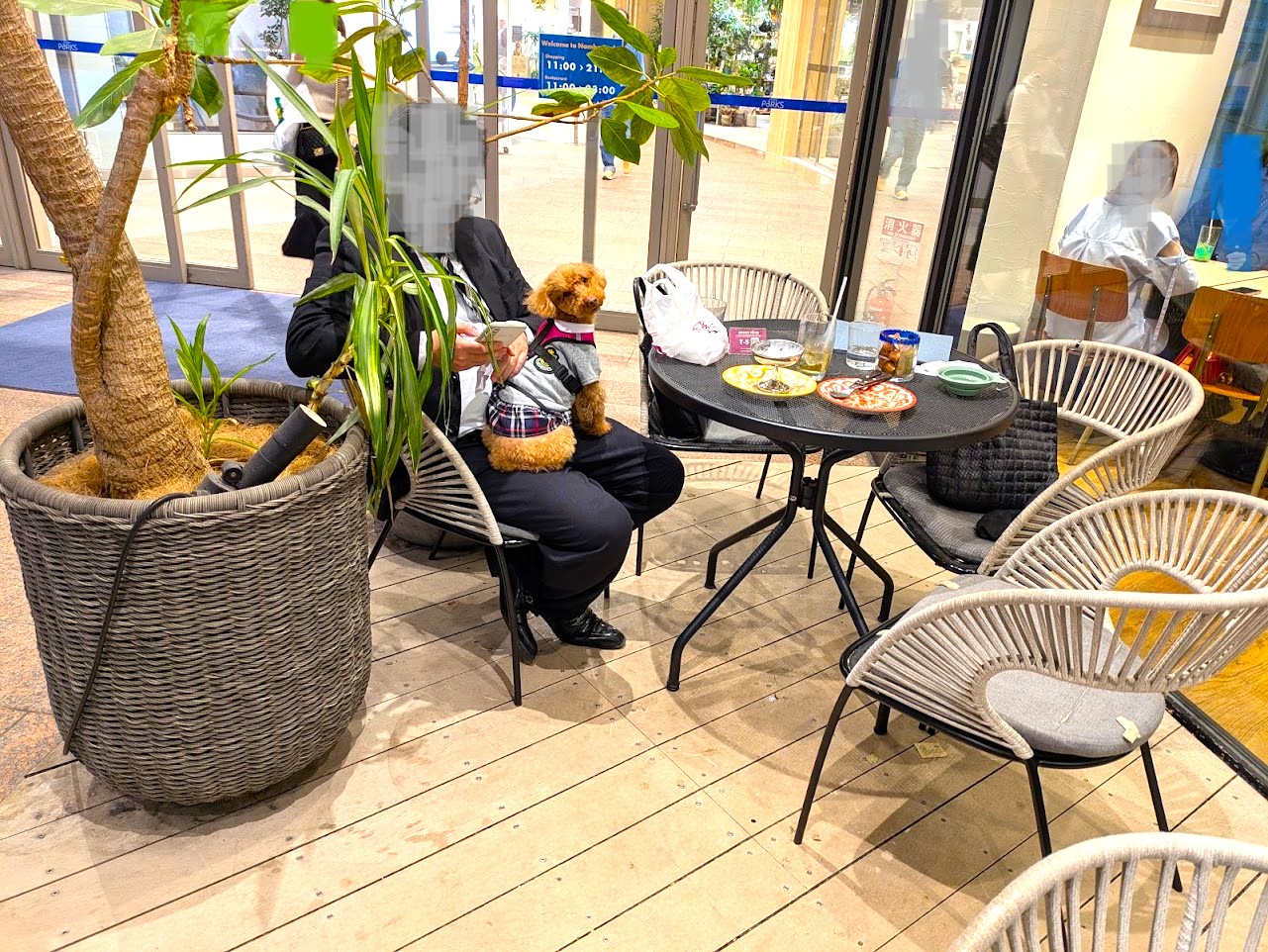 Pizzeria&Trattoria Bar Table Nice なんばパークス店