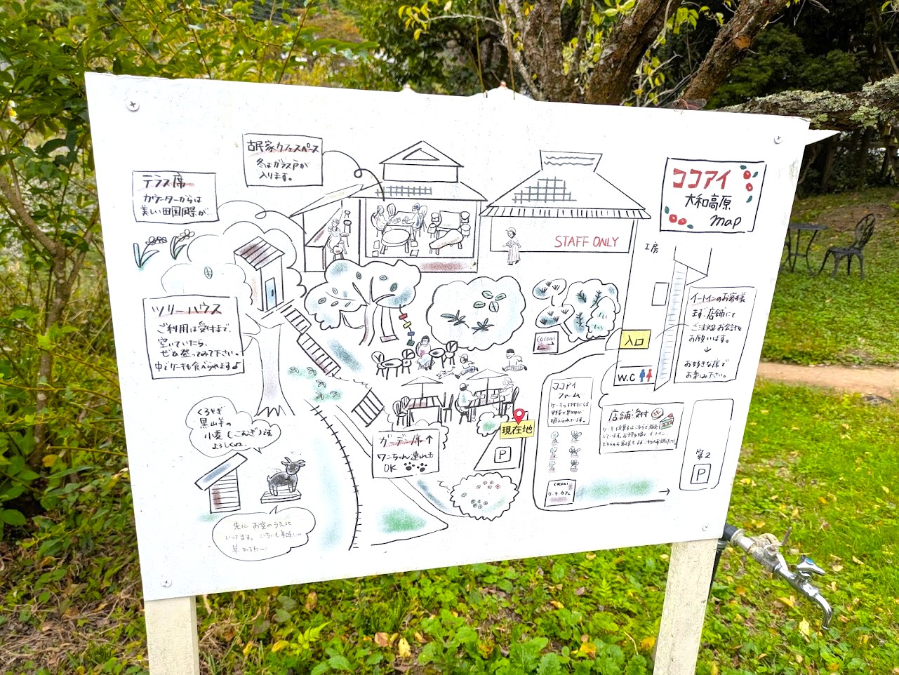 やさい菓子工房ココアイ大和高原店