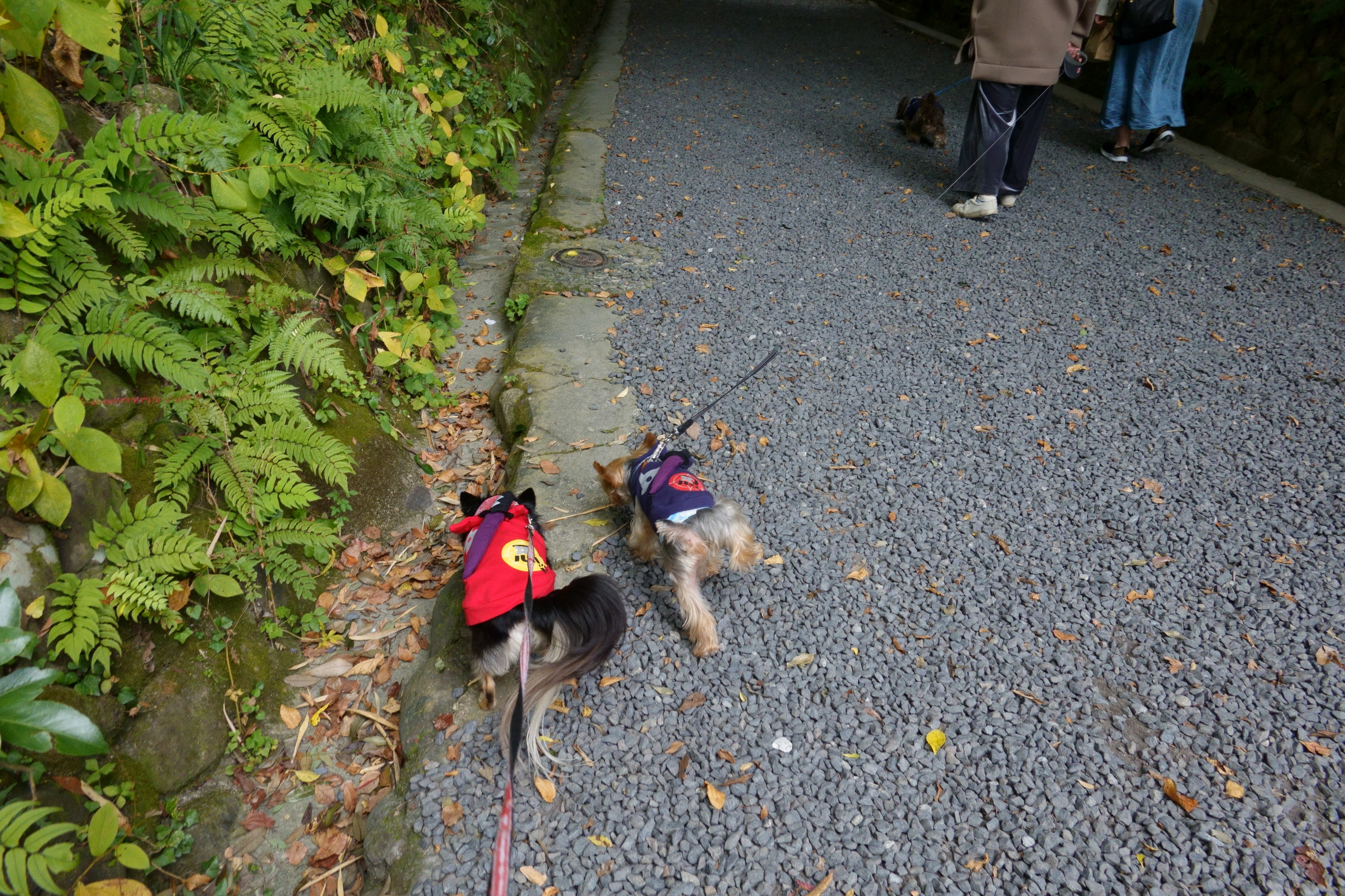 伊賀上野城