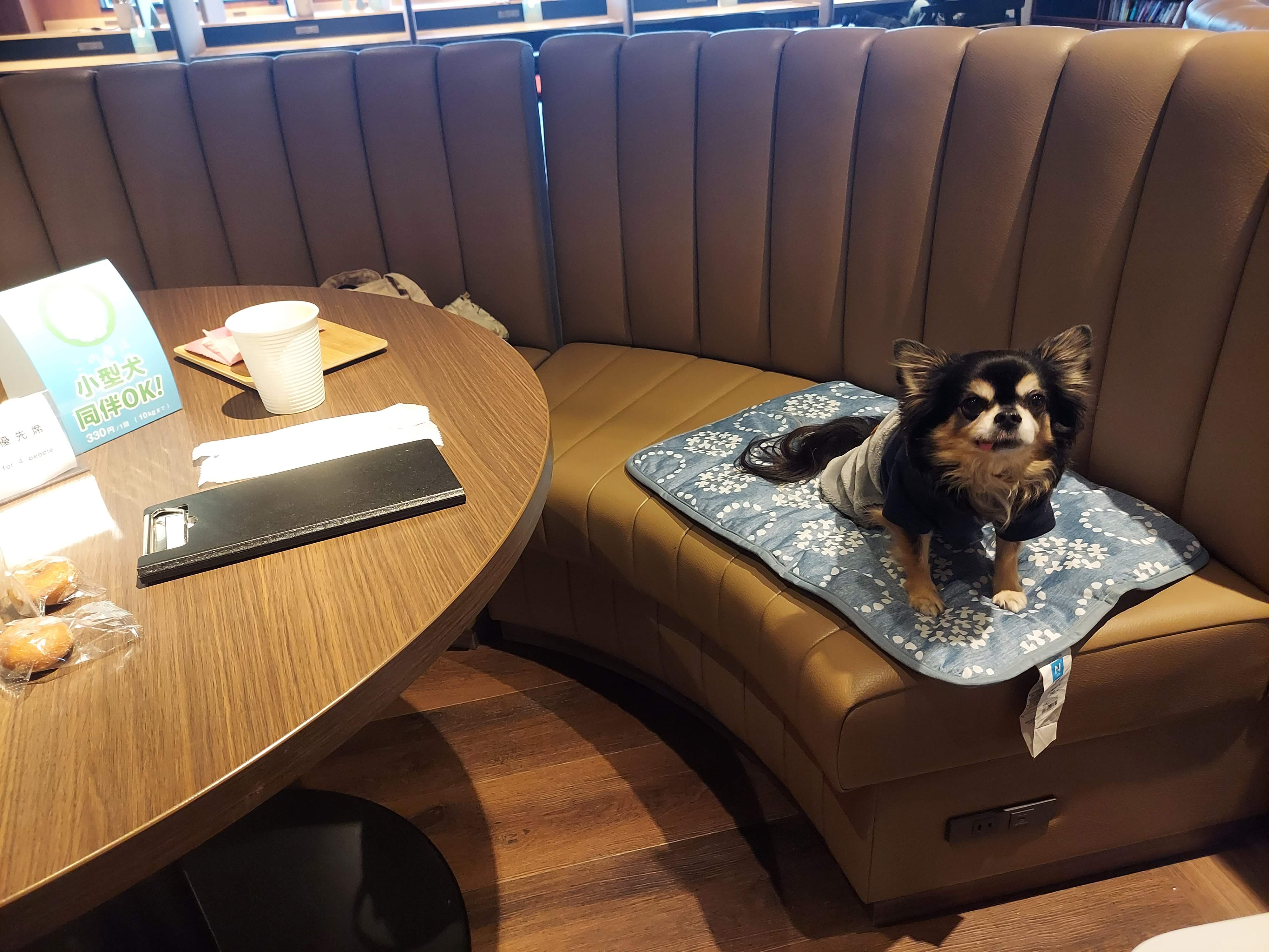 TODOROKI Cafe+（トドロキカフェ プラス）