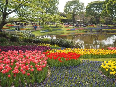 国営昭和記念公園バーベキューガーデン