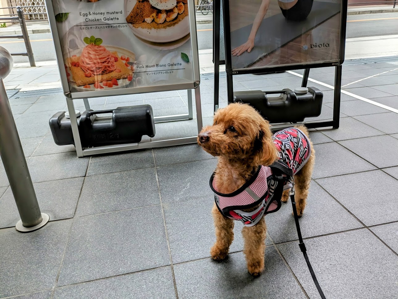 ビオタカフェ