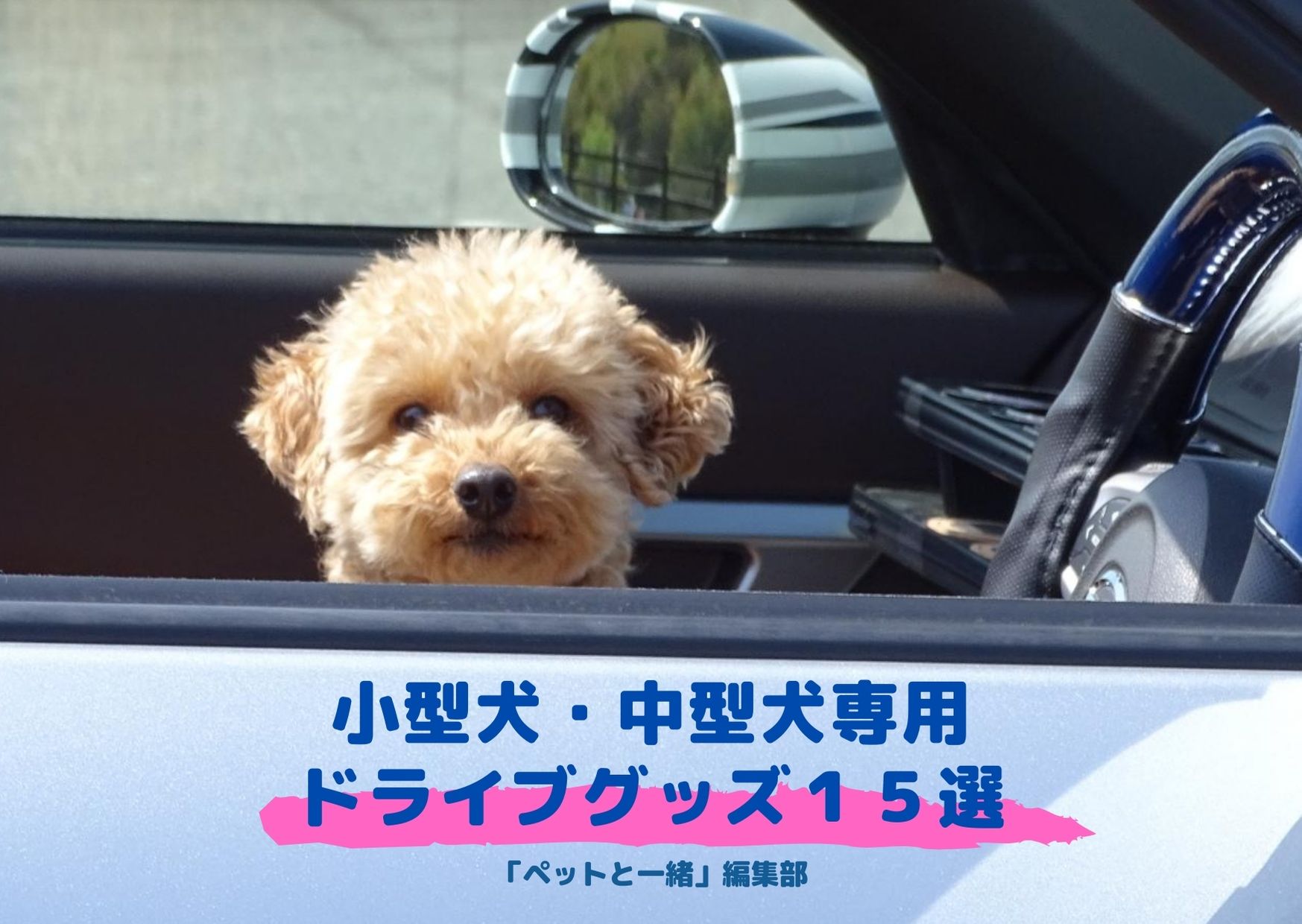 小型犬・中型犬専用のドライブグッズ15選【ペットと一緒編集部】
