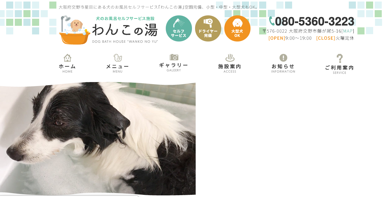 【関西】愛犬のセルフウォッシュができるお店