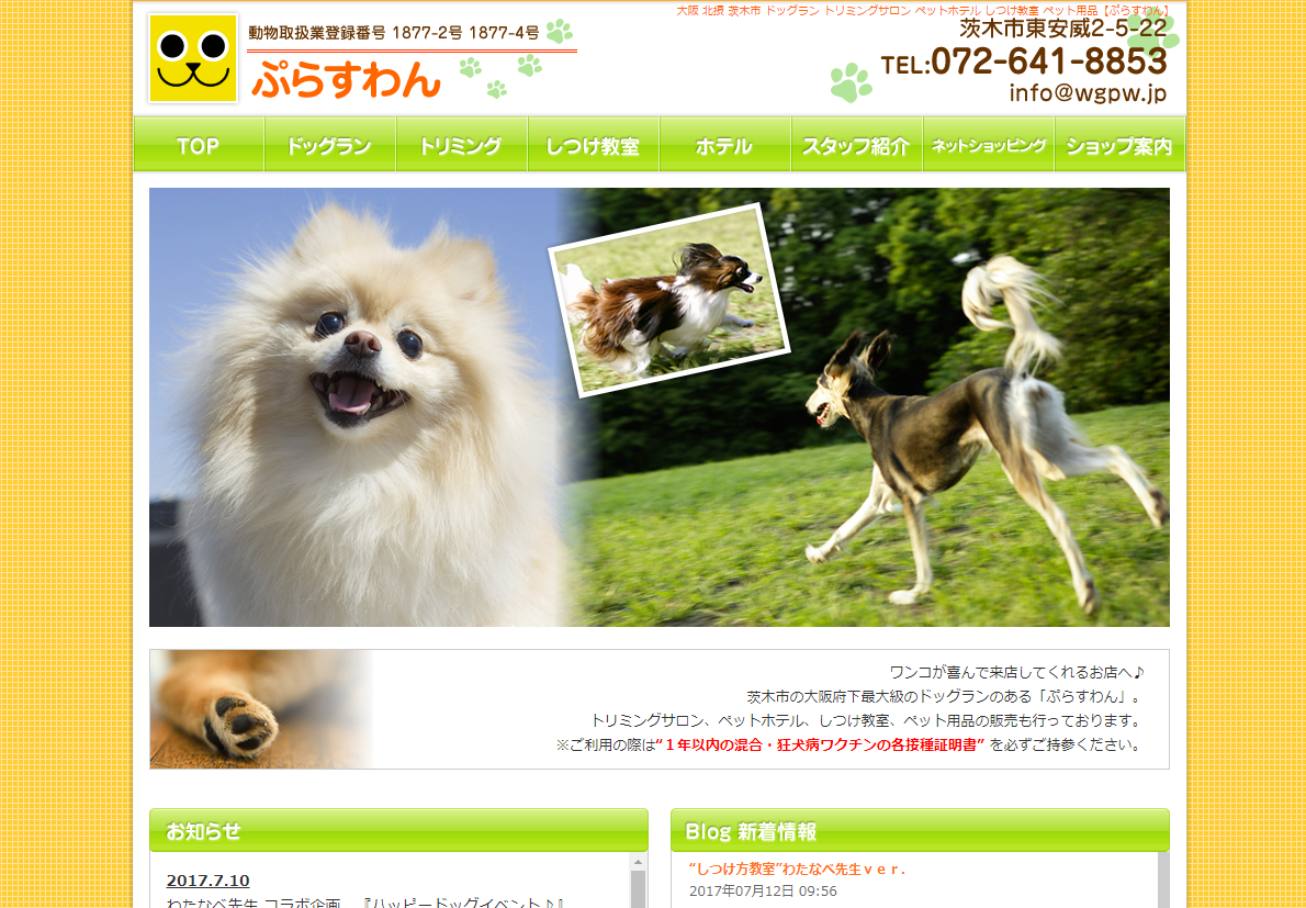 関西・犬用プール