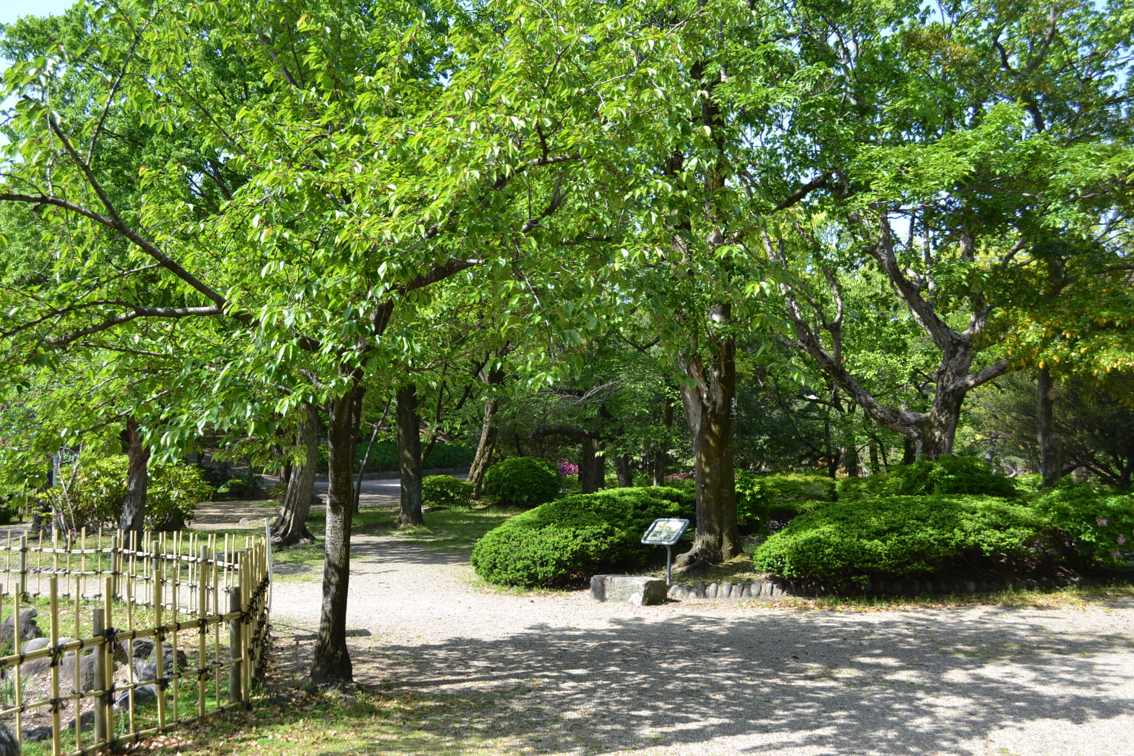 鶴舞公園