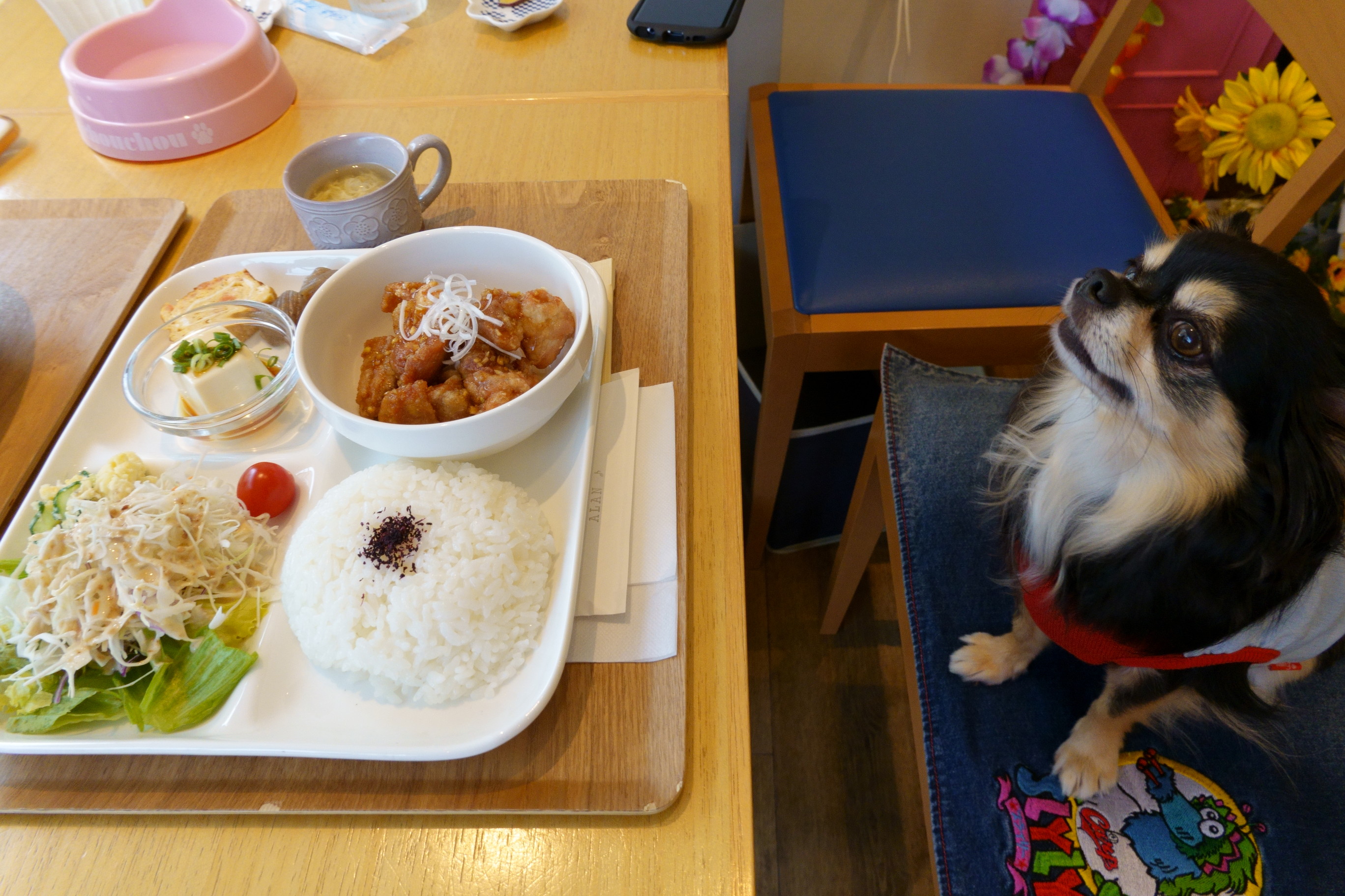 DogCafe ALAN（ドッグカフェ アラン）