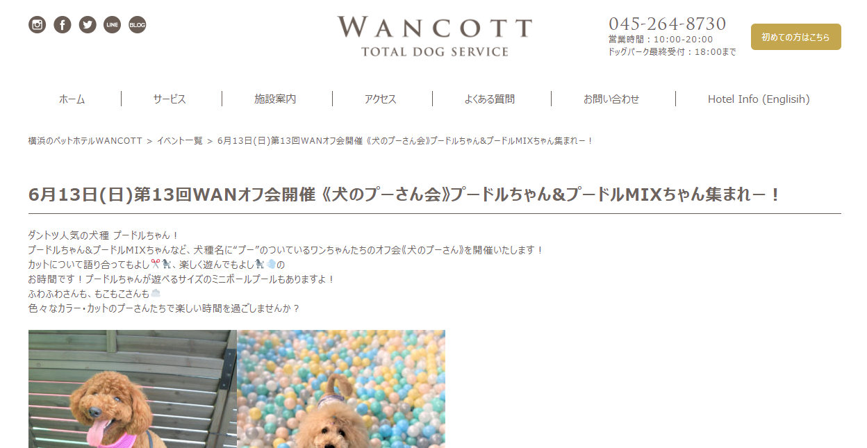 WANCOTTWANオフ会犬のプーさん会