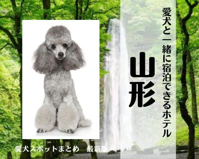 【最新版】山形｜愛犬と一緒に宿泊できるホテル