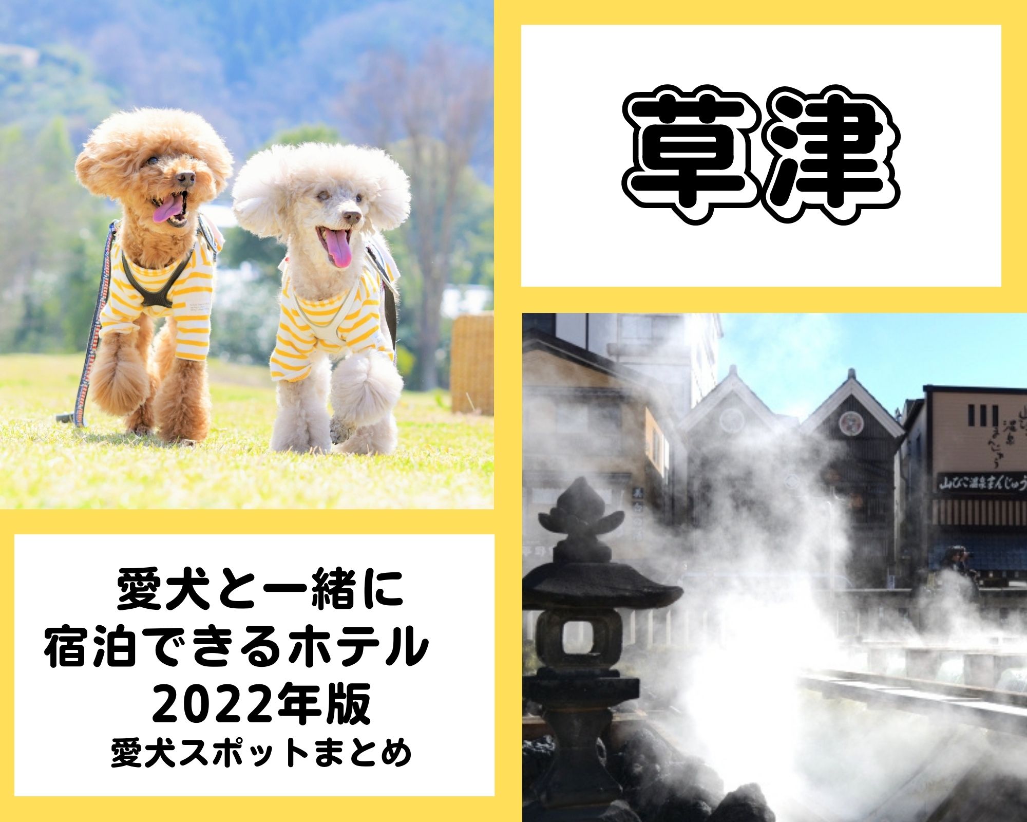 22年版 草津温泉 愛犬と一緒に宿泊できるホテル ペットと一緒
