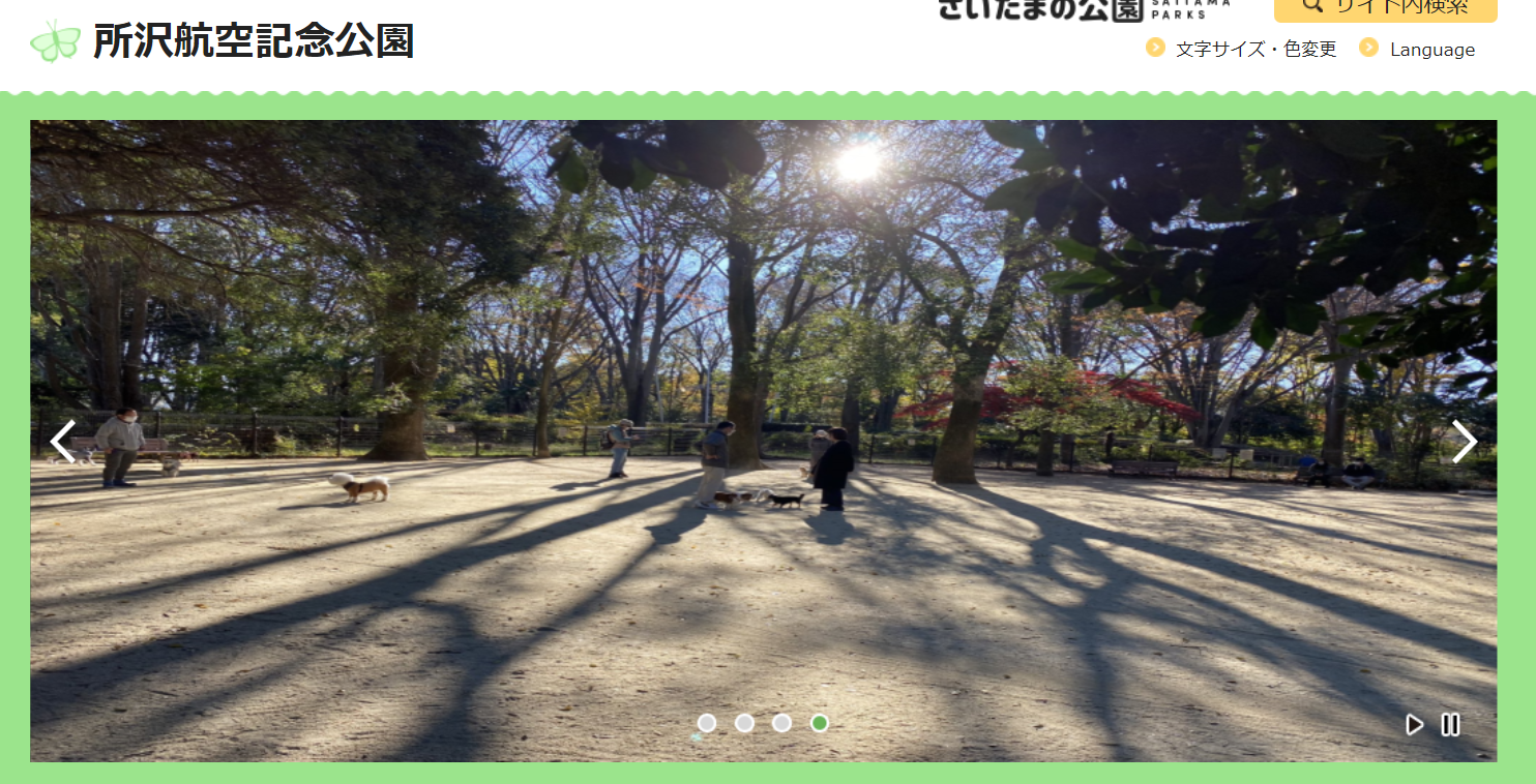 犬のしつけ方教室