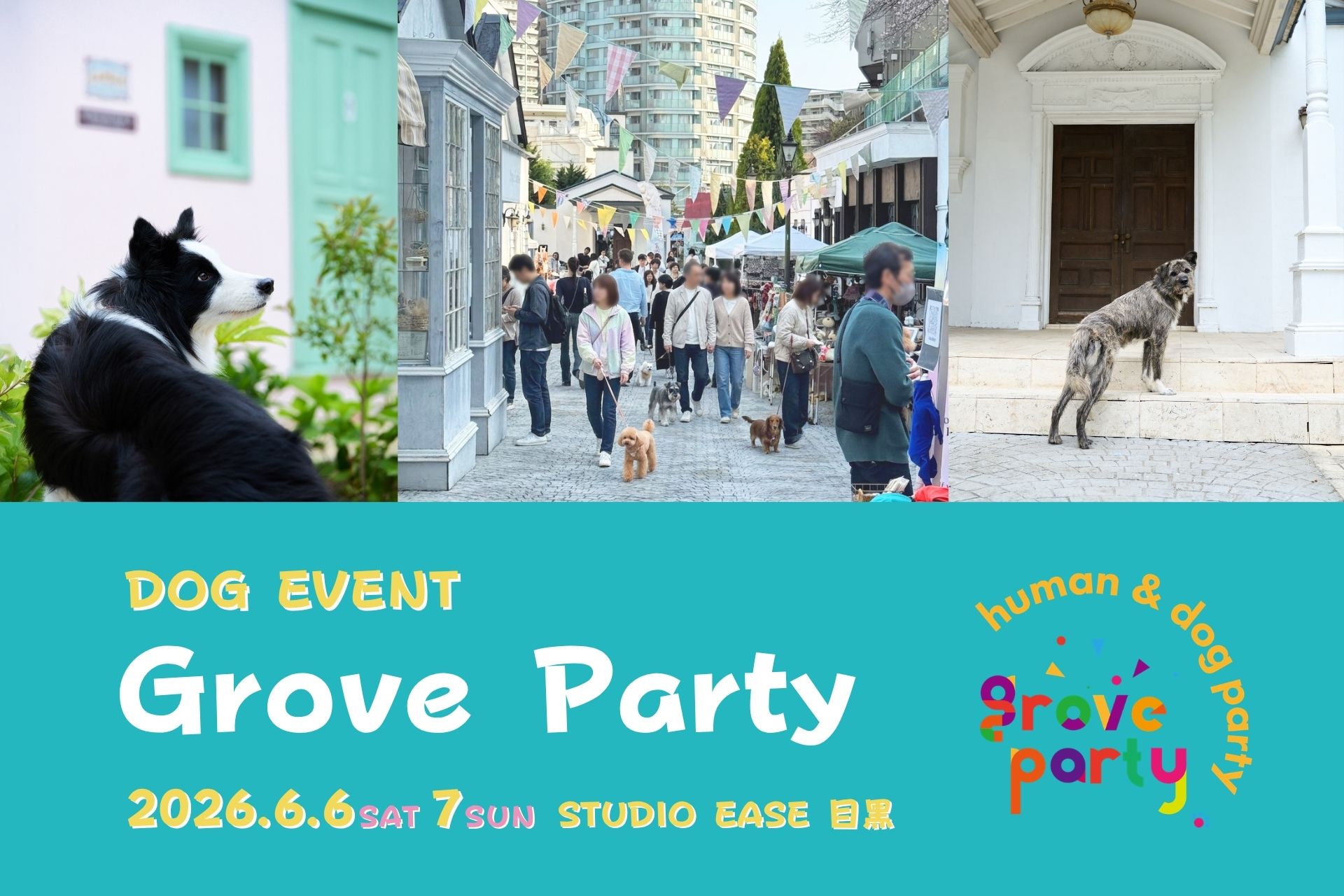 Grove Party