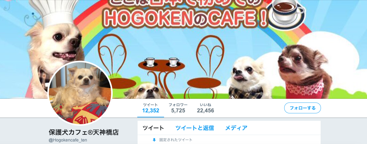 【関東・関西】〜保護犬カフェまとめ〜