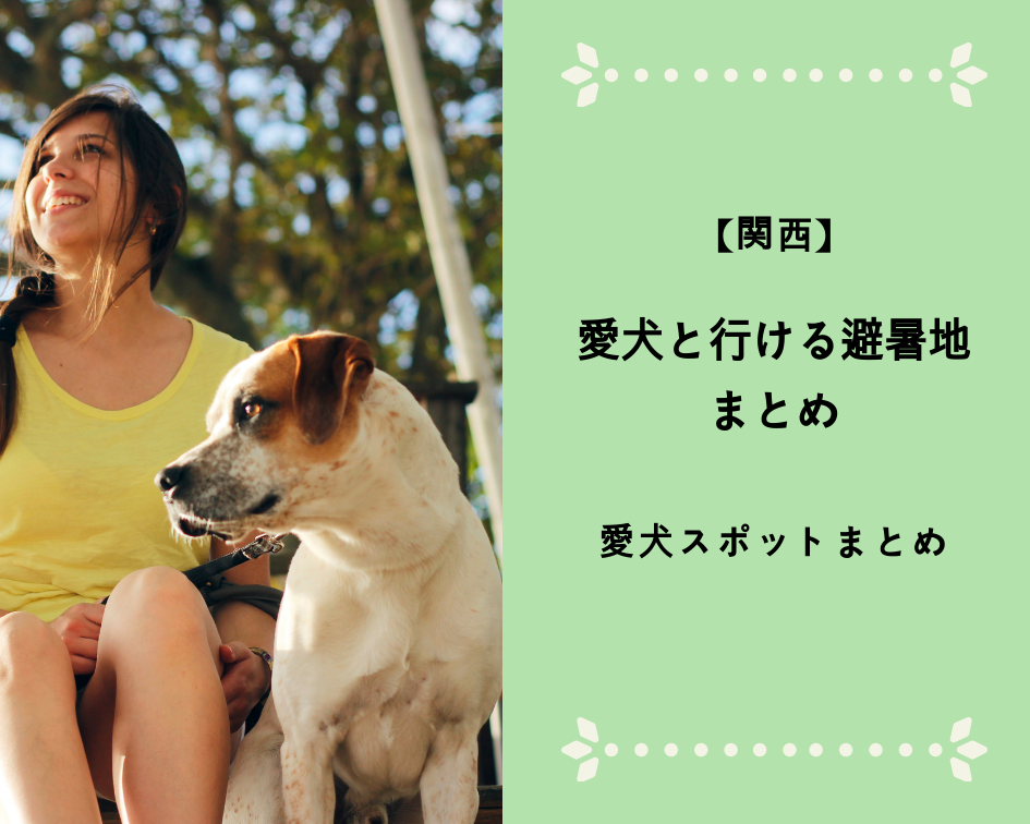 【関西】愛犬と行ける避暑地まとめ