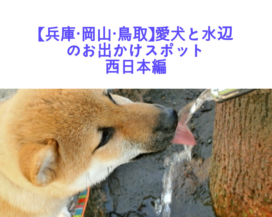 【兵庫・岡山・鳥取】愛犬と水辺のお出かけスポット西日本編　〜Part4〜