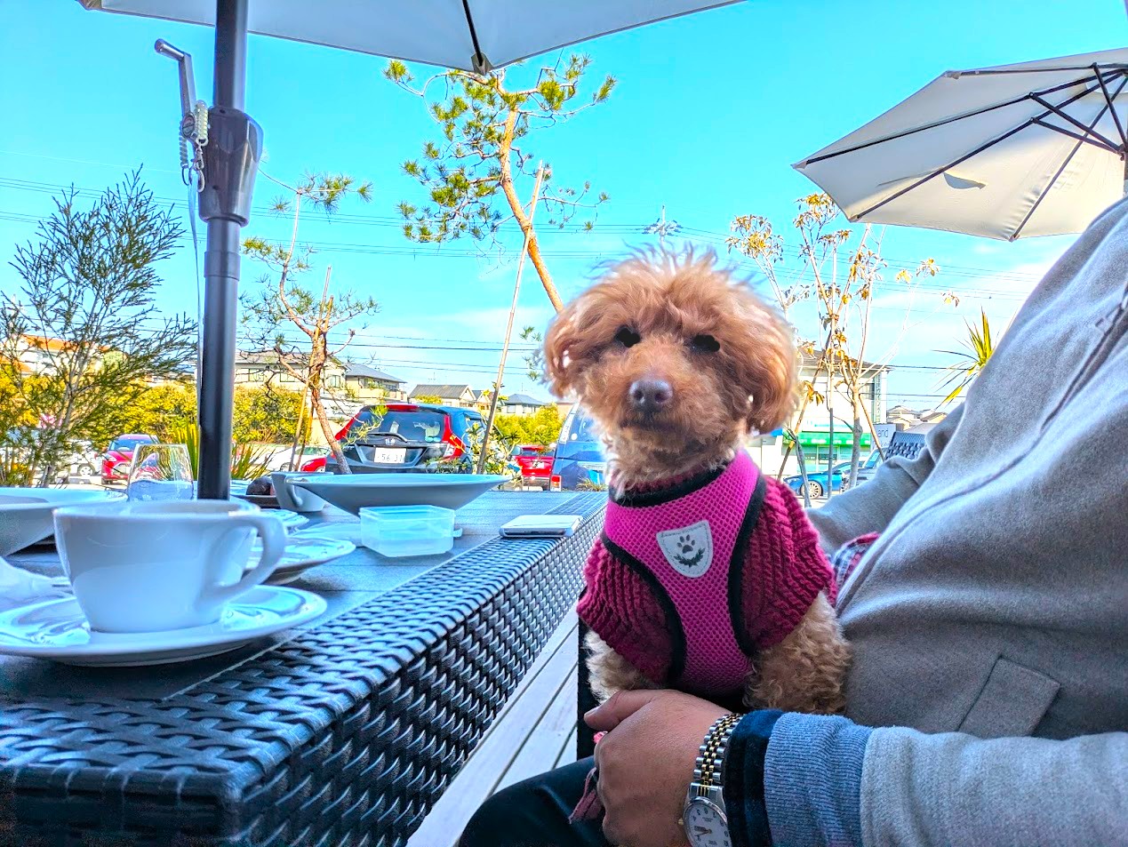 アンドベーカリー