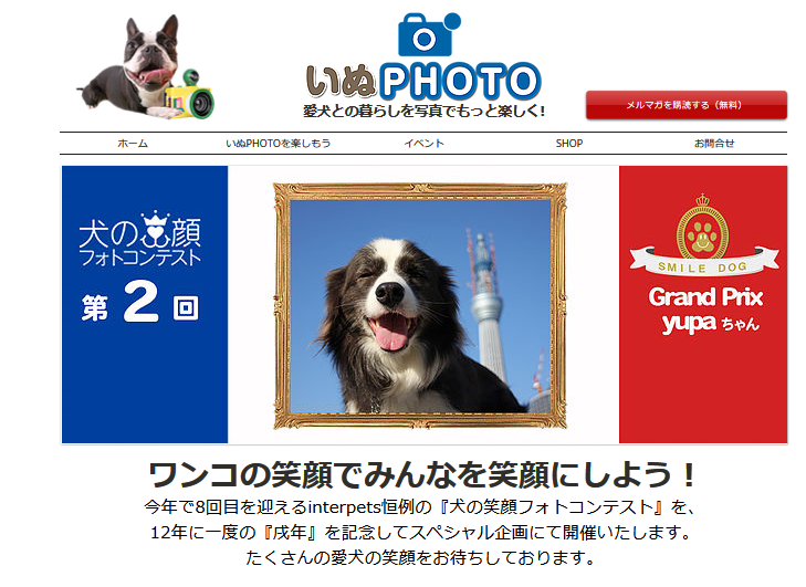 東京都新宿区 愛犬の笑顔写真募集中 犬の笑顔コンテスト インターペットで展示 ペットと一緒