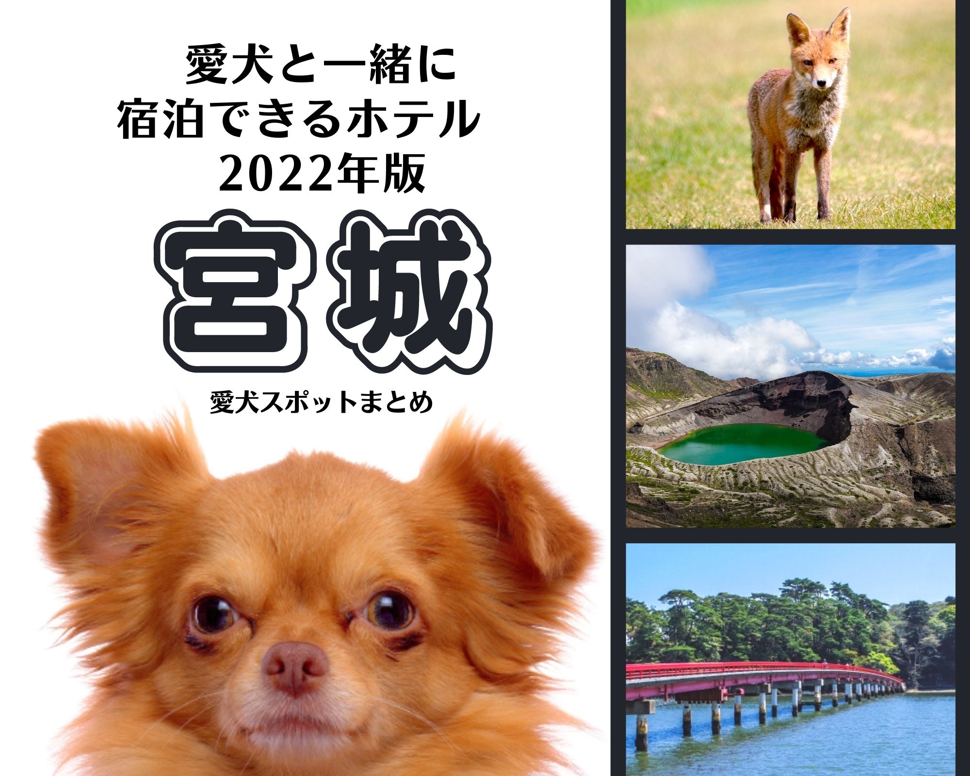 【2022年版】宮城