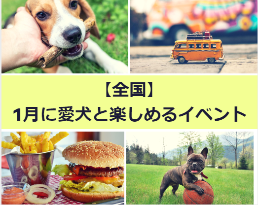 【全国】1月に愛犬と楽しめるイベント