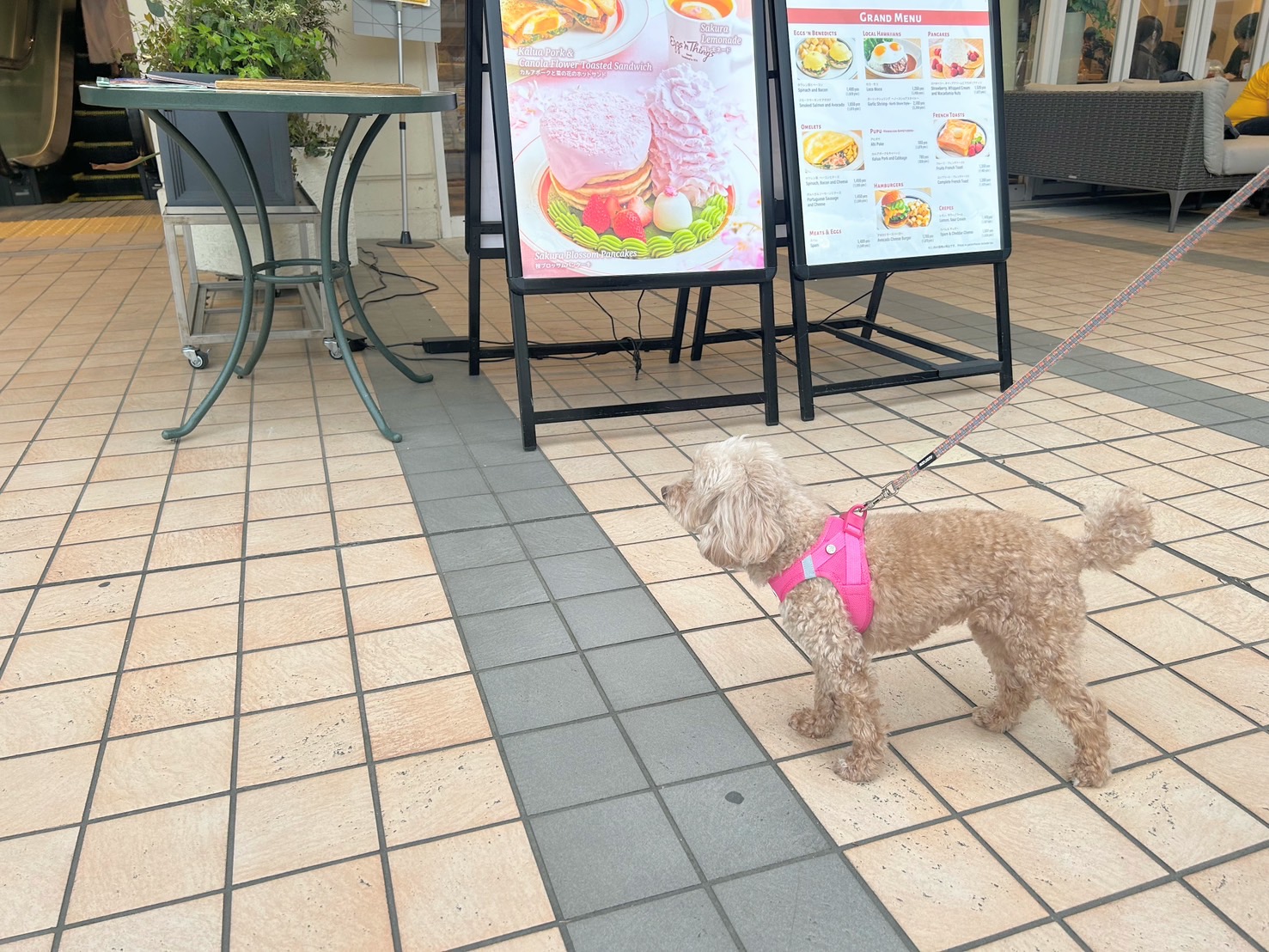 エッグスンシングス