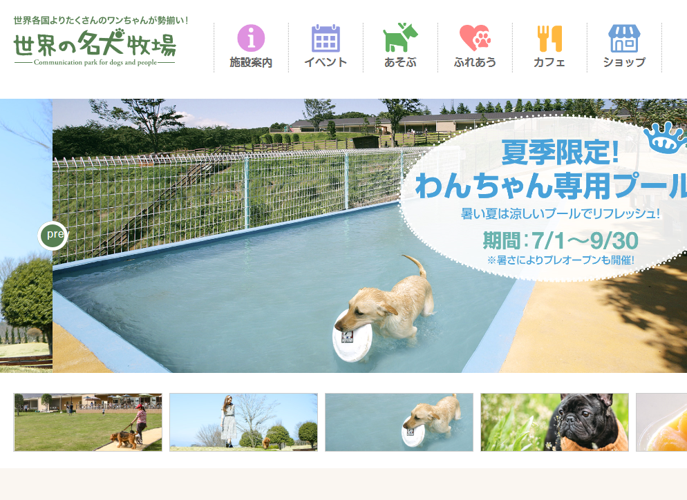 夏季限定わんちゃん専用プール・世界の名犬牧場