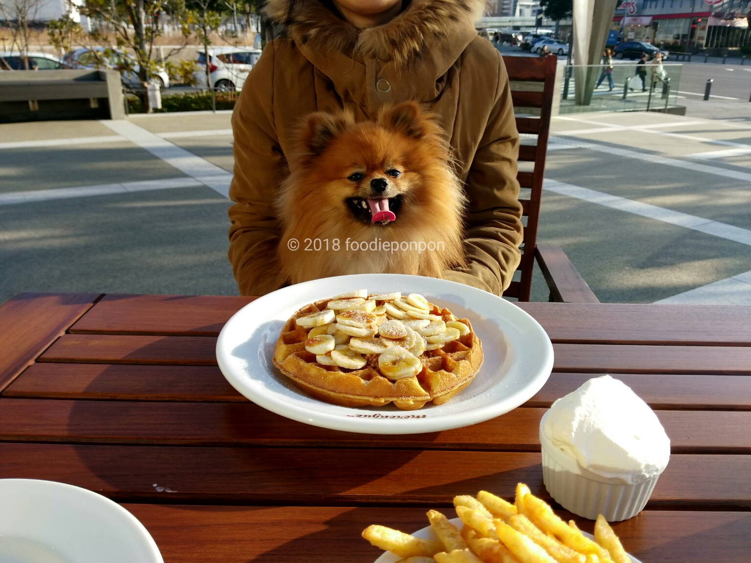 【関東】愛犬と美味しいケーキが食べられるお店