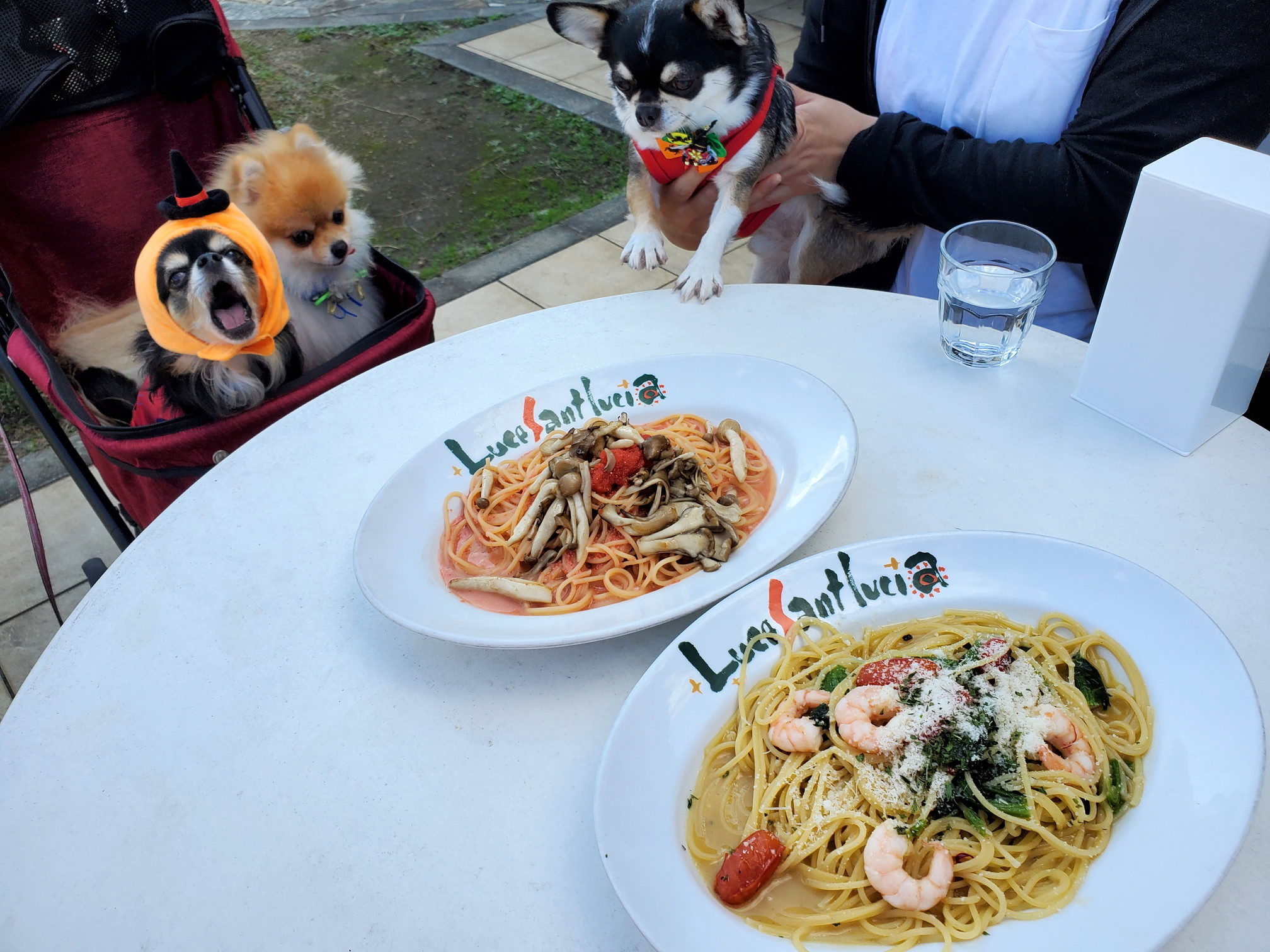 ルーチェサンタルチア 生駒学園前店