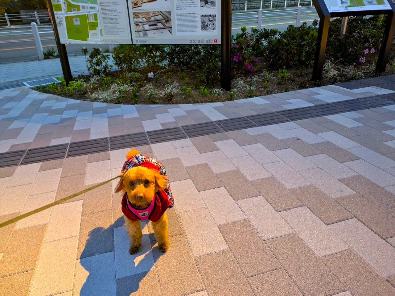 クラフトバーガーなノにわ