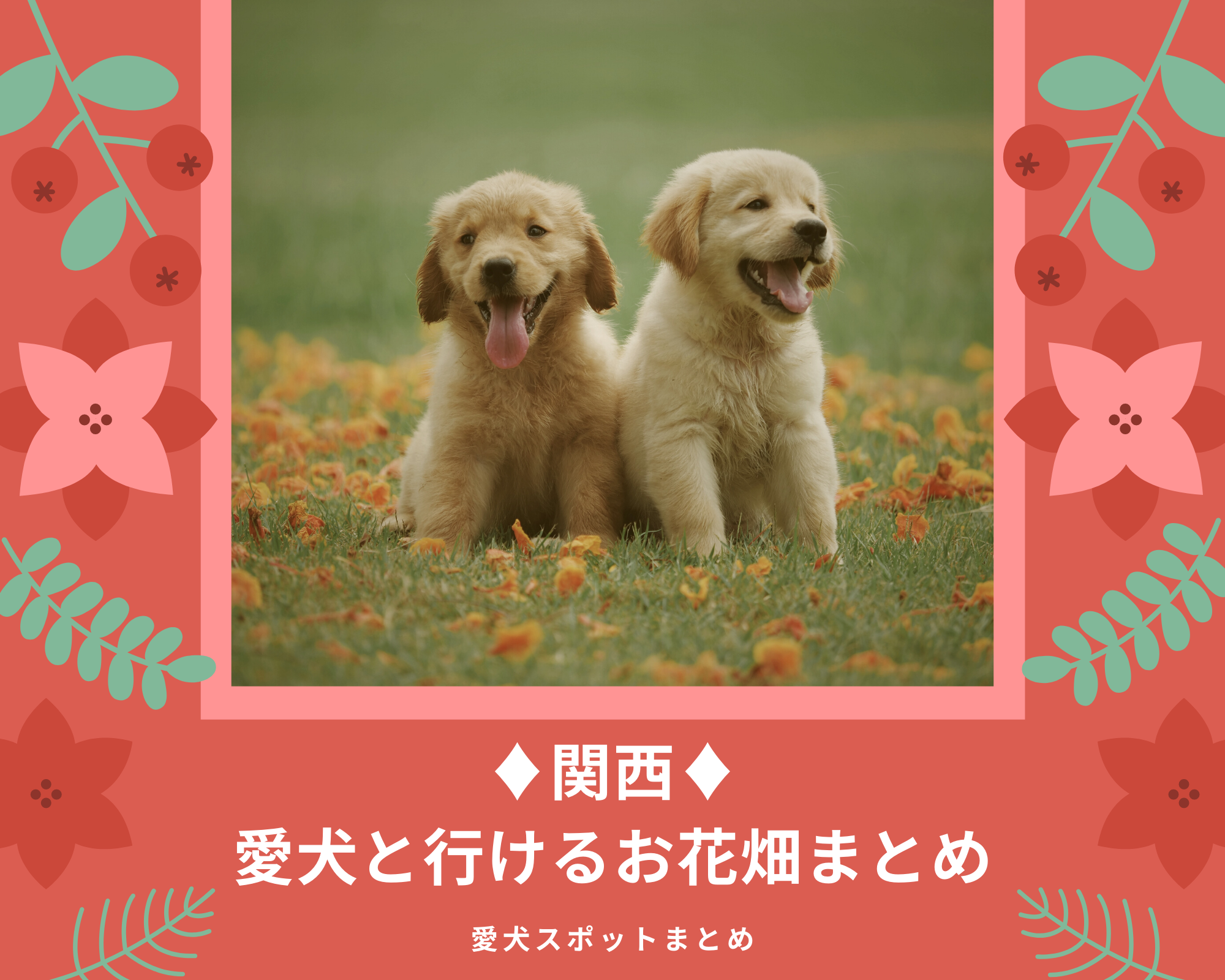 【関西】愛犬と行けるお花畑まとめ