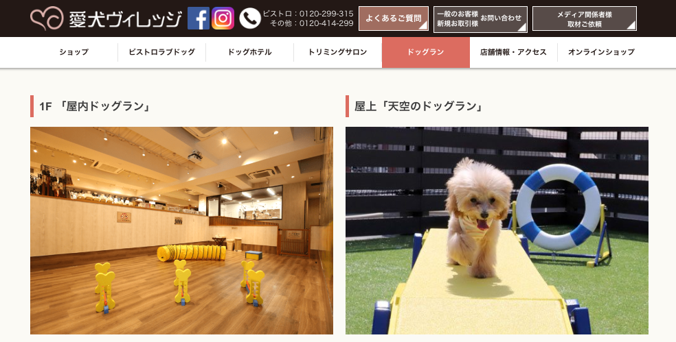 【関東】〜愛犬と寒くても楽しめるスポットまとめ〜室内ドッグラン・温泉