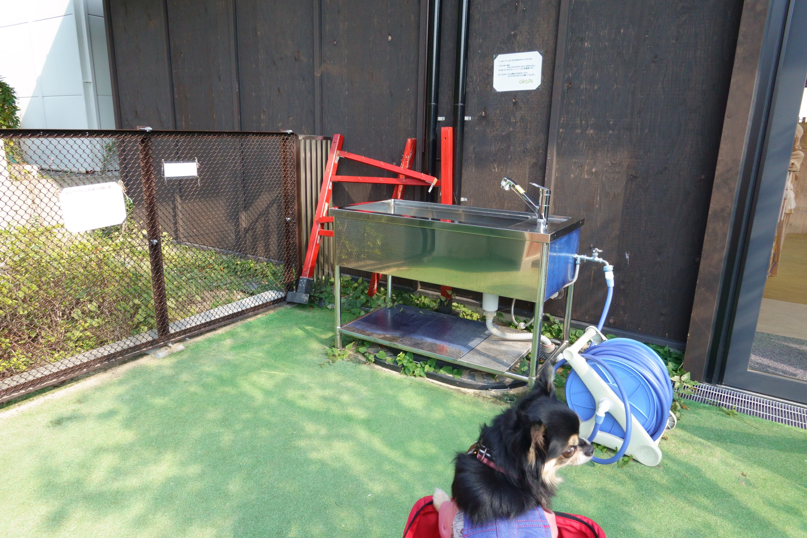 GRASS DOG&CAT(グラスドッグ&キャット) てんしば店