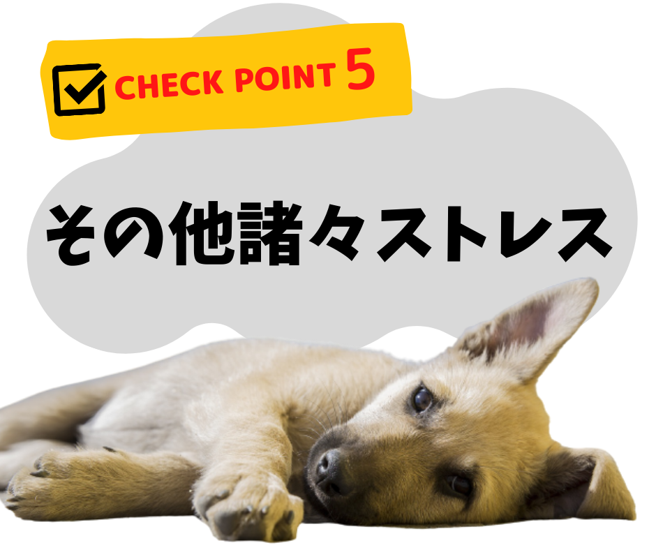 愛犬が自宅で感じるストレスは?早めに気づくためにチェックしよう!