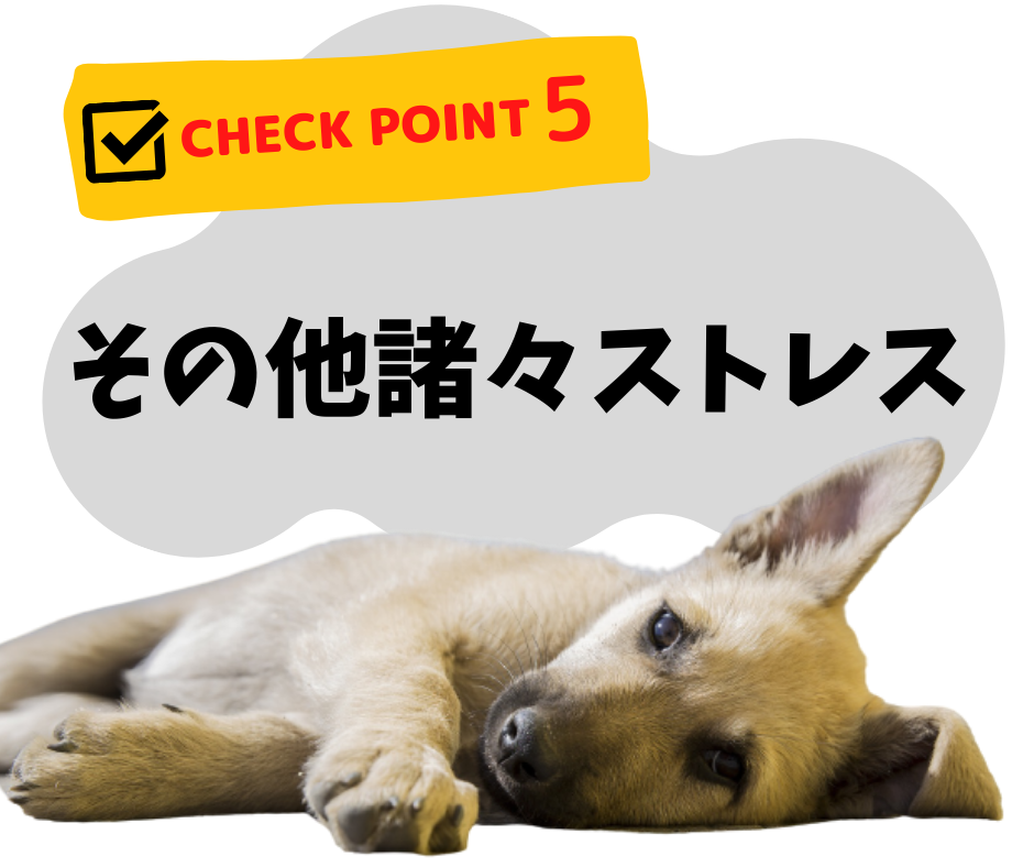 愛犬が自宅で感じるストレスは？早めに気づくためにチェックしよう!